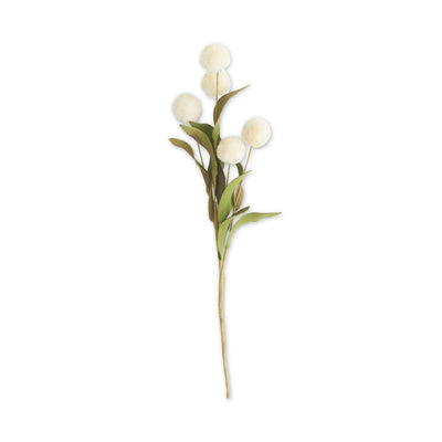 16464B   Ball Pompom (6 Stems)