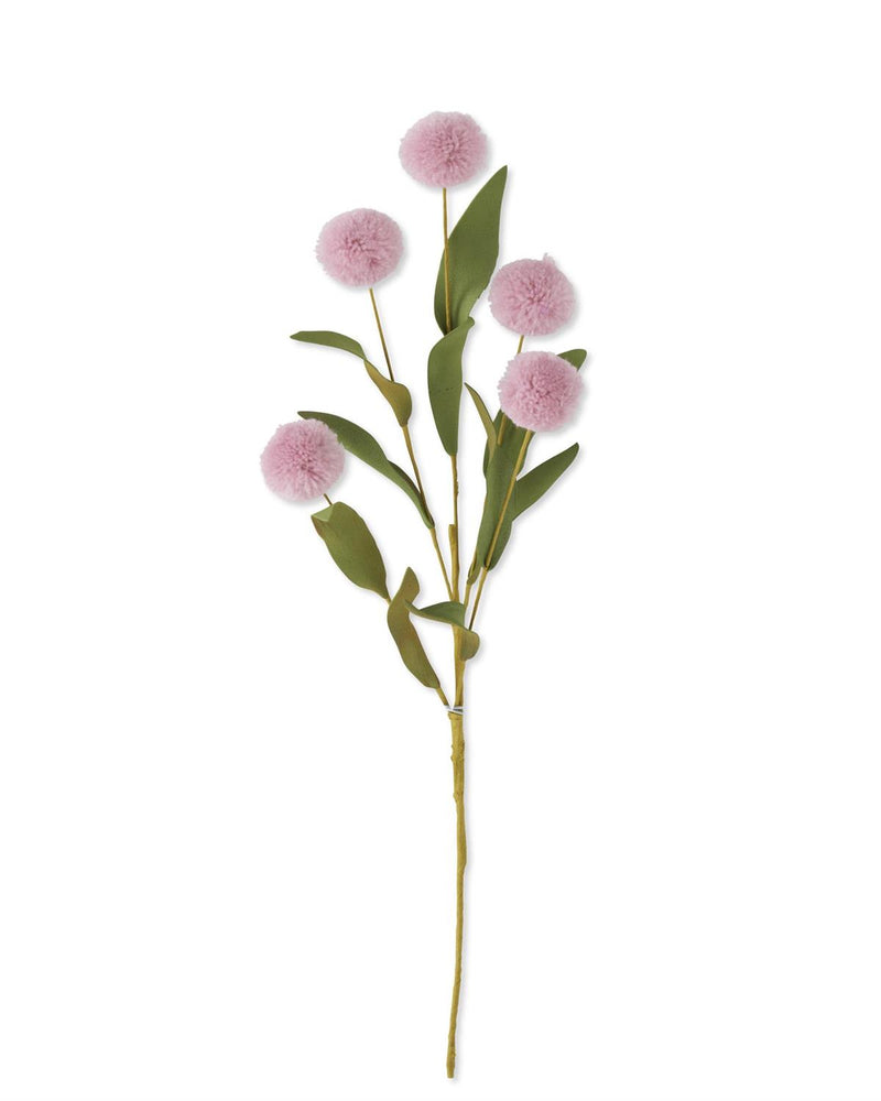 16464B   Ball Pompom (6 Stems)