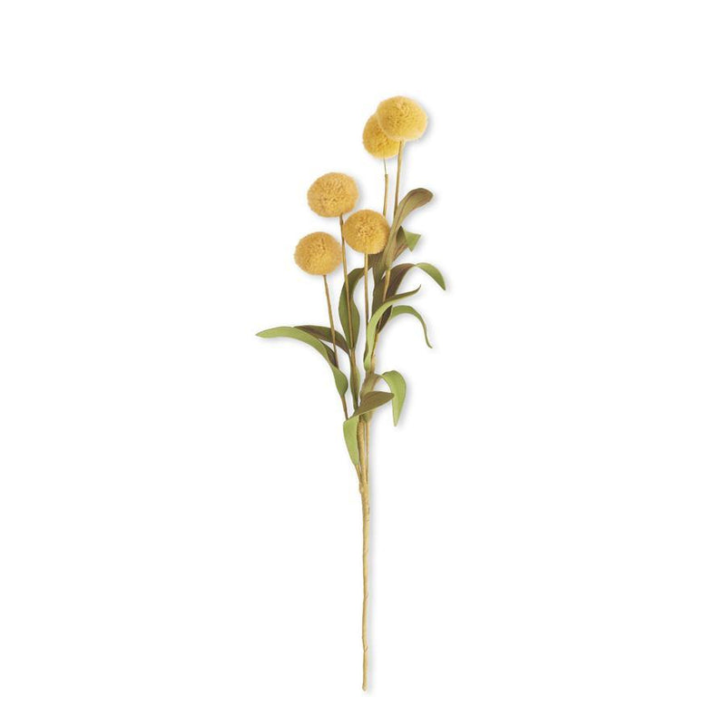 16464B   Ball Pompom (6 Stems)