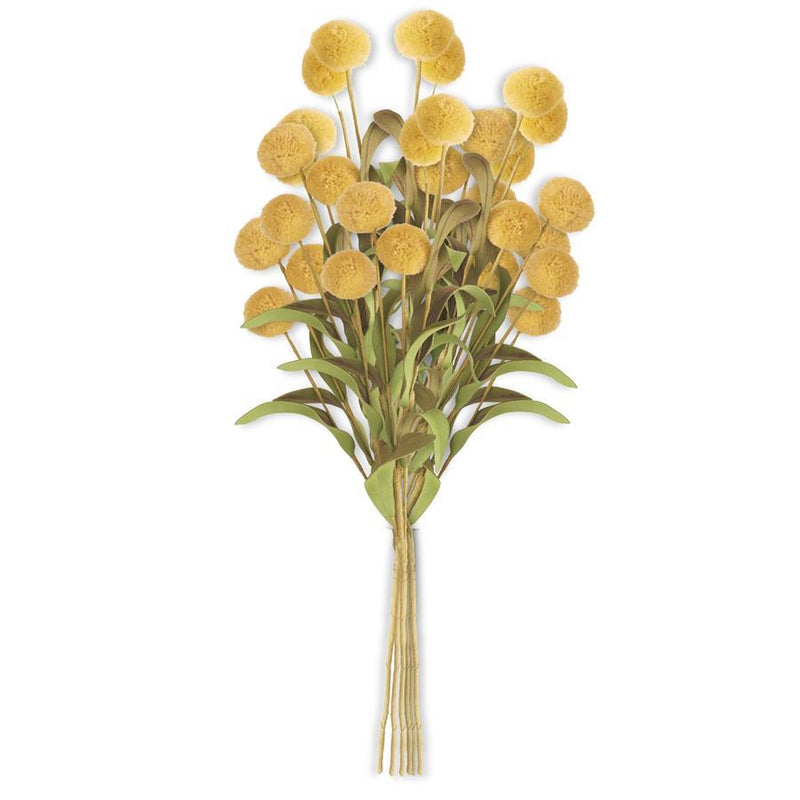 16464B   Ball Pompom (6 Stems)