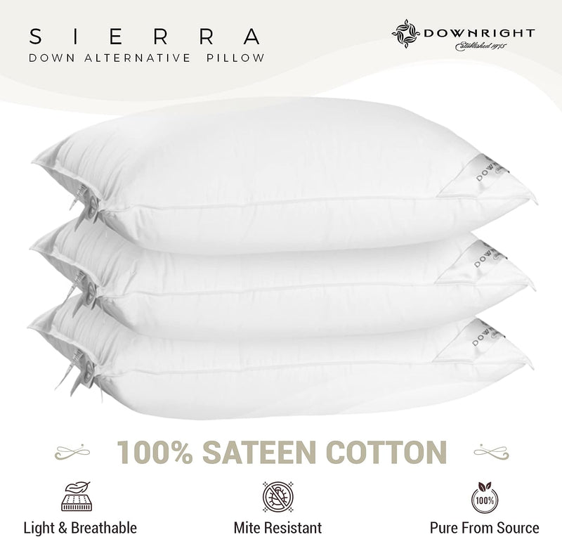 Sierrra Down Alternative Pillow