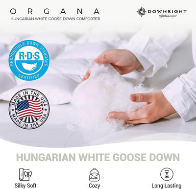 Organa Down Comforter