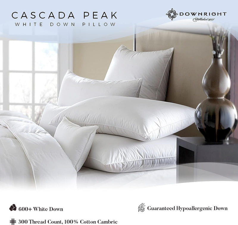 Cascada Peak  Down Pillow