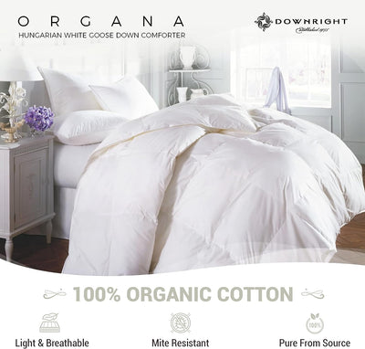 Organa Down Comforter