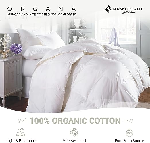 Organa Down Comforter