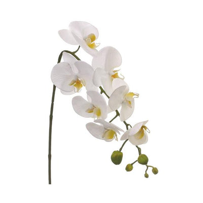 FSO723-WH  28.5″ Phalaenopsis Orchid Spray White