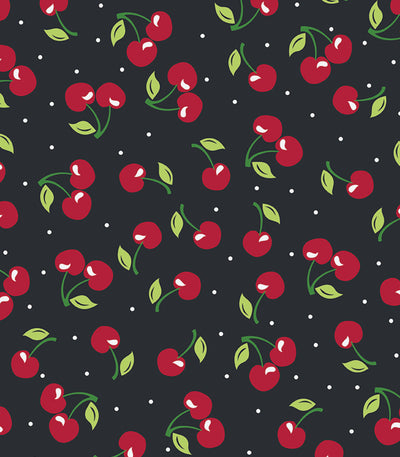 Aprons APR0100-4