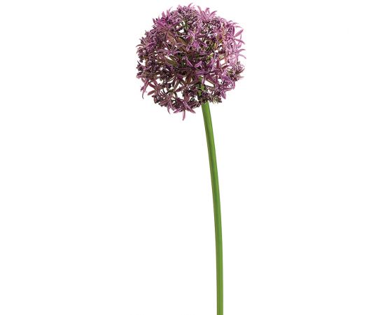 FSA084-LV 31" Silk Allium Flower Spray -Lavender
