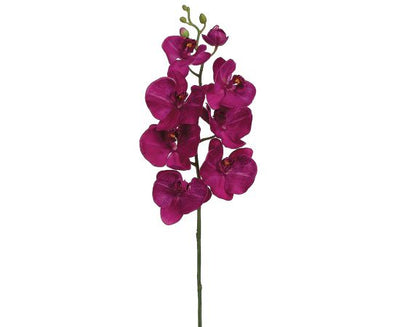 FSO108-OC Phalaenopsis Orchid Spray Orchid