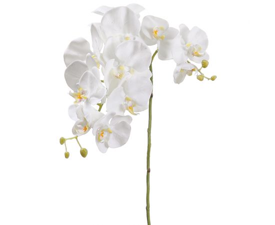FS0123-CR 34" Silk Phalaenopsis Orchid Flower Spray -Cream