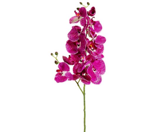 FSO124-OC/CR 34" Silk Phalaenopsis Orchid Flower Spray -Orchid/Cream