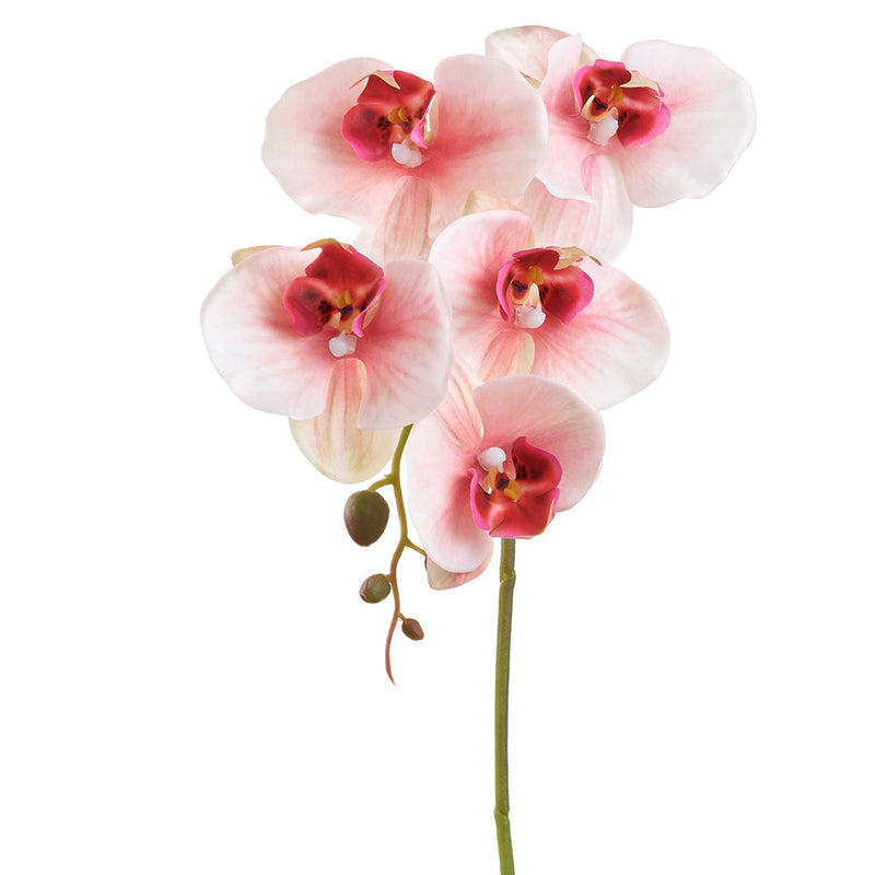FSO366-PE/BT 20.5" Phalaenopsis Orchid Silk Flower Stem