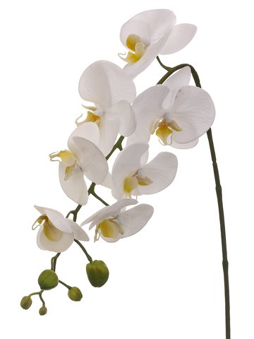FSO723-WH  28.5″ Phalaenopsis Orchid Spray White