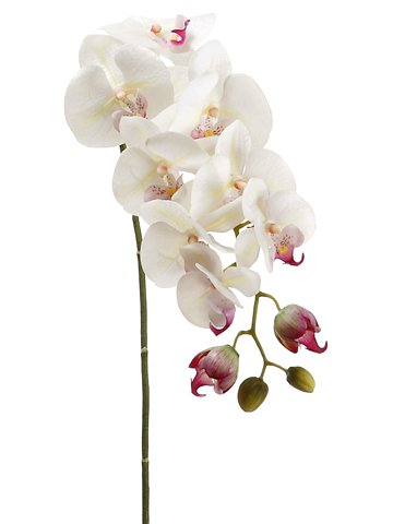 HSO471 31″ Phalaenopsis Orchid Spray with 8 Flowers and 4 Buds Violet