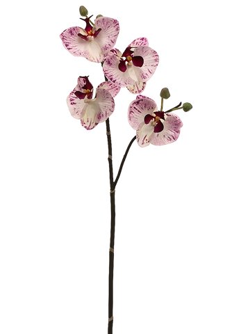 HSO673-WH/OC 32″ Phalaenopsis Orchid Spray White Orchid