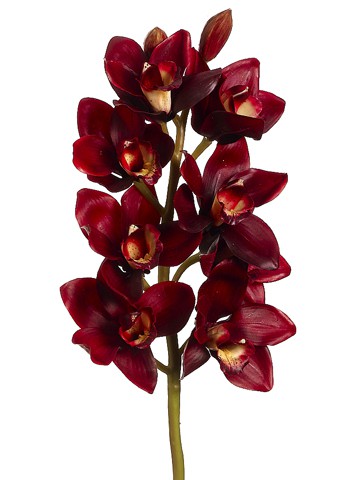 HS0915-BU 27″ Cymbidium Orchid Spray Burgundy