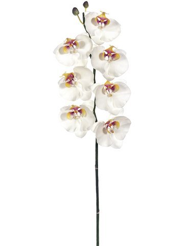 JTO704 34″ Phalaenopsis Orchid Spray with 7 Flowers and 2 Buds White