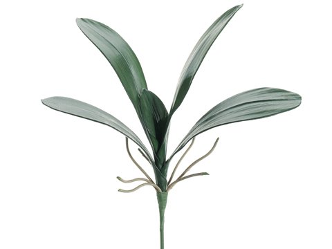 JYL915-GR 14″ Phalaenopsis Orchid Leaf Spray Green
